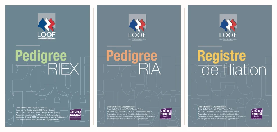 Les trois documents du LOOF côte à côte : pedigree RIEX, pedigree RIA et registre de filiation